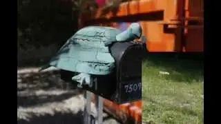 Creative Mailbox Designs