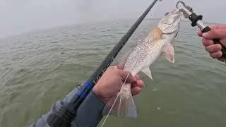 Foggy Morning Fishing Keller Bay, Grinch Stole Sunlight! @PavLuresCustomLures @batesfishingco 