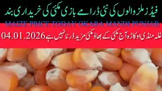 MAIZE PRICE TODAY OKARA MANDI PUNJAB PAKISTAN 04.01.2026
