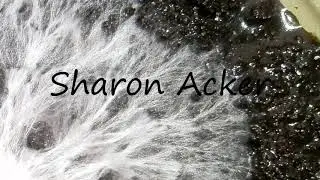 How to Pronounce Sharon Acker?