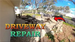 Brick Driveway Makeover: Huge Tree Roots REMOVED! 🔥 (15-Min Timelapse)