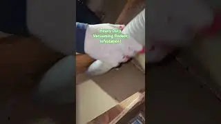 Rodent Infestation Attic Cleanout, Extracting Feces With A Heavy Duty Vacc System!