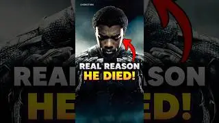 How Did Black Panther Die In The MCU? #blackpanther