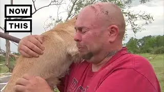 A Family Reunites With Their Dog After A Horrific Tornado | NowThis