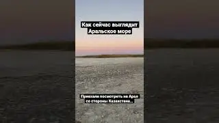 Как сейчас выглядит Аральское море со стороны Казахстана. Кокаральская плотина