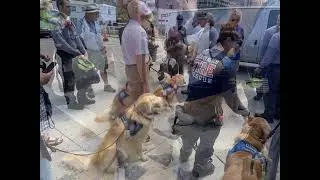 Hope Comfort Dog at Surfside July 2021