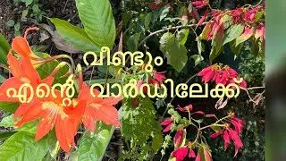 part. 4. എന്റെ. വാർഡിലേക്ക്  വീണ്ടും