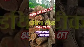 Indian teak wood logs ready with forest transit pass,  Andhra Pradesh India  8978987344 - whatsap