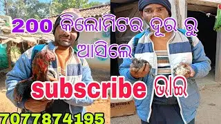 ଆଜି ଆସିଲେ ଭାଇ 200 କିଲୋମିଟର ଦୂର ରୁ ଛୁଆ ନେବା ପାଇଁ #youtube #vlog 