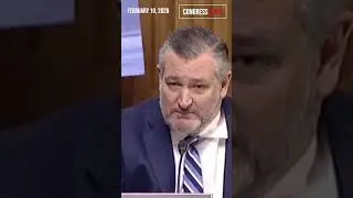 Сенатор Круз оказывает давление на свидетеля по обвинениям в мошенничестве на слушаниях в Сенате ...