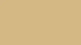 Light brown background