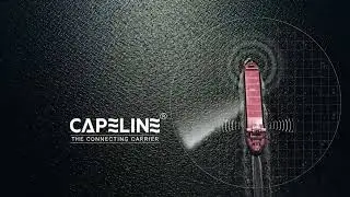 Capeship Freight Solutions &ndash; Your Trusted NVOCC & Global Shipping Partner
