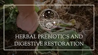 Herbal Prebiotics and Digestive Restoration
