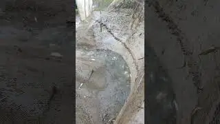 Traditional Cast Net Fishing: Incredible Rainy Day Catch