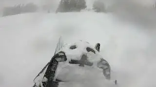 Day 10 Smith Fork again!!! best day so far