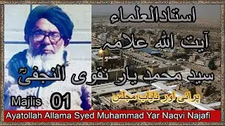 Ayatollah Allama Syed Muhammad Yar Shah Naqvi Najafi