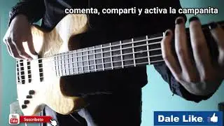 spector coda pro 5  sound test by the bass shop bs as