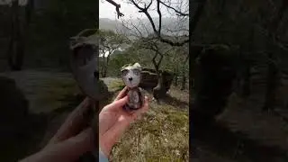 Bear in the forest #beartoy