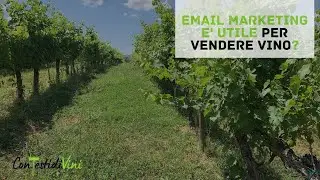 Vendere vino con l'email marketing &egrave; possibile ?