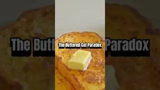 Exploring the Buttered Cat Paradox: A Hilarious Physics Thought Experiment
