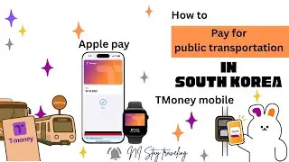 PART 2: TMONEY CARD TO TMONEY APPLE ON THE TMONEY MOBILE APP | Traveling in South Korea