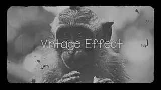 Vintage Effect: Premiere Pro template