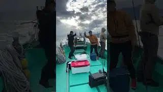 ヒラメとヒラゴ！　ダブル　山口県　青海島沖　SLJ 2024年12月1日