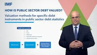 Valuation methods for specific debt instruments in public sector debt statistics