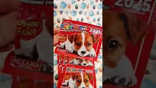 PIZZARDI AMICI CUCCIOLOTTI 2025 😍 🥰 👍 🐾 🐌 🐌 🐌 🐌 🐌 🐌 🐌 🐌 🐌 🐌 🐌 🐌 💙