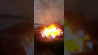 Burning Tara Naswar #shorts #normaltube #viral #burn
