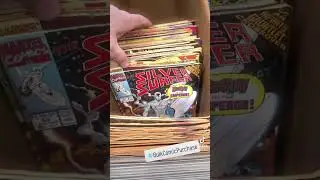 Buying 5,000 Comics From a Youtuber!