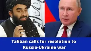 Taliban calls for resolution to Russia-Ukraine war