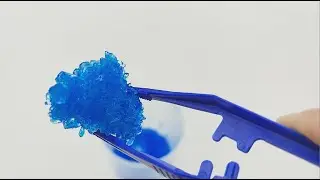 iSprowt - Rock Crystal Growing Experiment