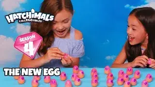 Hatchimals CollEGGtibles Season 4 | Ch. 2 The New Egg