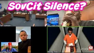 SovCit?