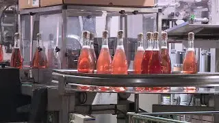 Caves et cuveries d'exception en Bourgogne - &eacute;pisode 3/4