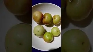 আমি চাই যারা আমাকে দেখে চলেন