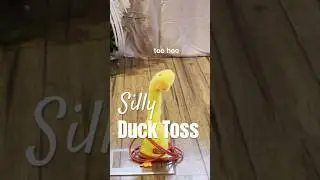 Silliest wedding game ever! 🤣🦆⭕️ #weddinggame #melbournecelebrant #melbournewedding
