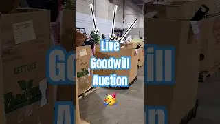 Goodwill Has Live Auctions!?!🤑
