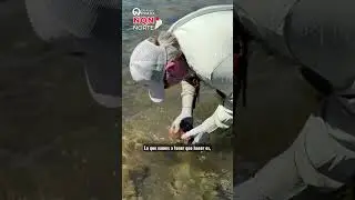 &iquest;Qu&eacute; es el d&iacute;dimo? #pescaconmosca #atadodemoscas #flyfishing
