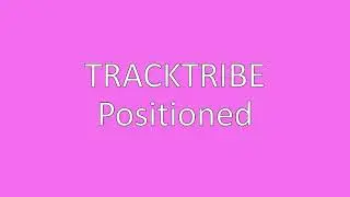 Positioned - Tracktribe
