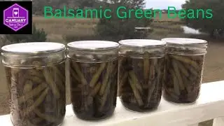 Balsamic Green Beans Pressure Canning Canuary2025