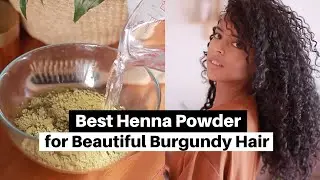 Get Beautiful Burgundy Hair with Rajasthani Henna! - Henna Powder Series