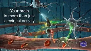 Engineering Sensors That Listen to Brain Cells