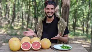 Aaj to Maja aa Gaya 😳 yummy | the X boy | daily vlog challenge | sourav joshi wedding vlog #trending