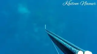 The best Technic of fishing (diver khitem naceur)