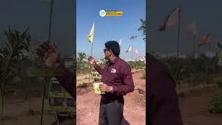 Vikarabad Collectorate Office Nearby Open Plots | Best Real Estate Investment 2026