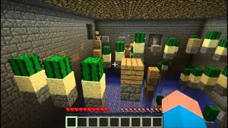 Minecraft - The Mushroom Adventure (William's 100th video special)