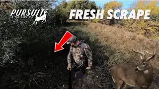 FRESH SCRAPE FOUND=BUCK CLOSE! | PEAK RUT stand set up #deer #deerseason