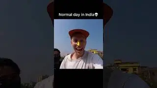 Just a normal day in India.